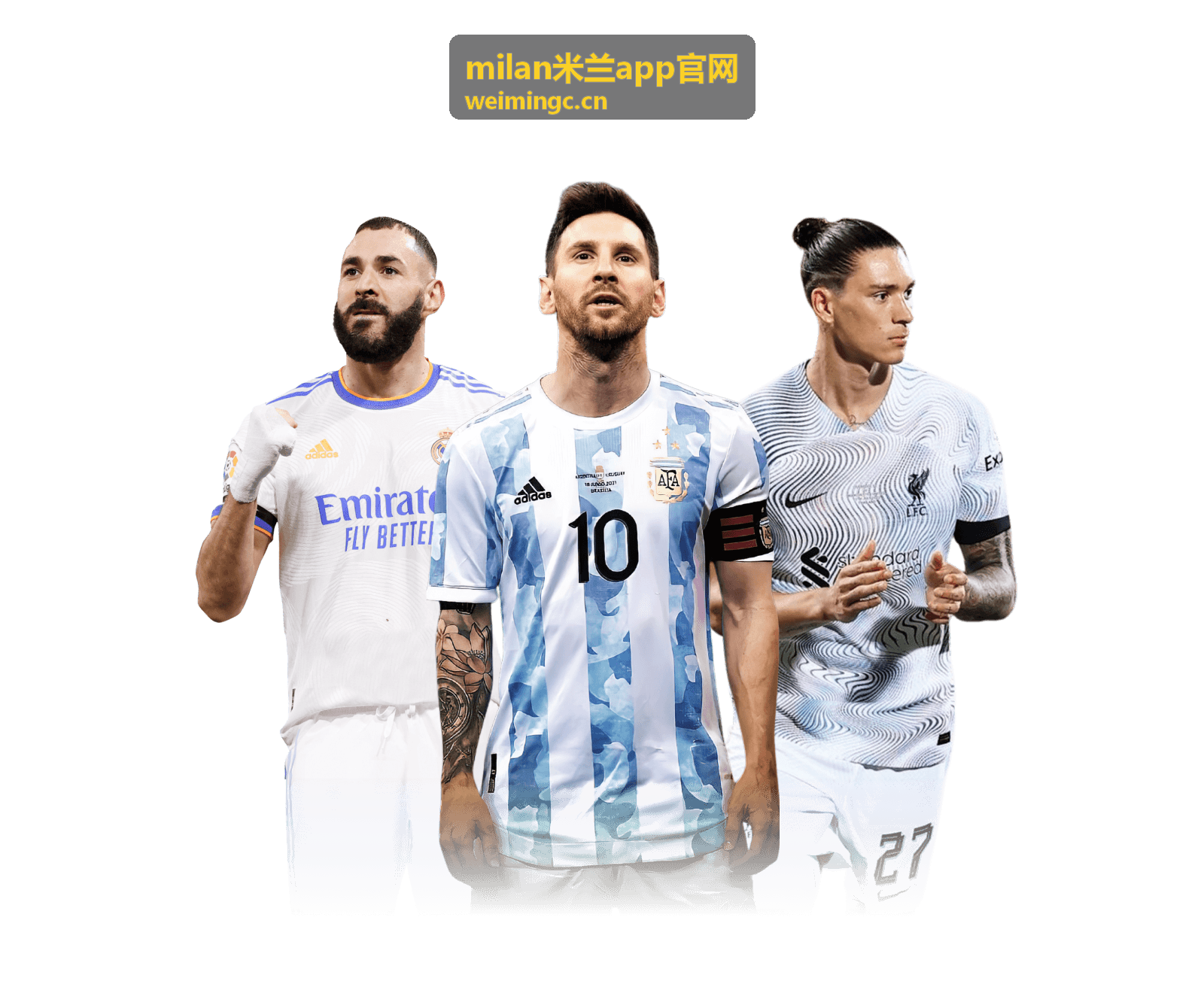 milan米兰app官网安全与隐私设置界面